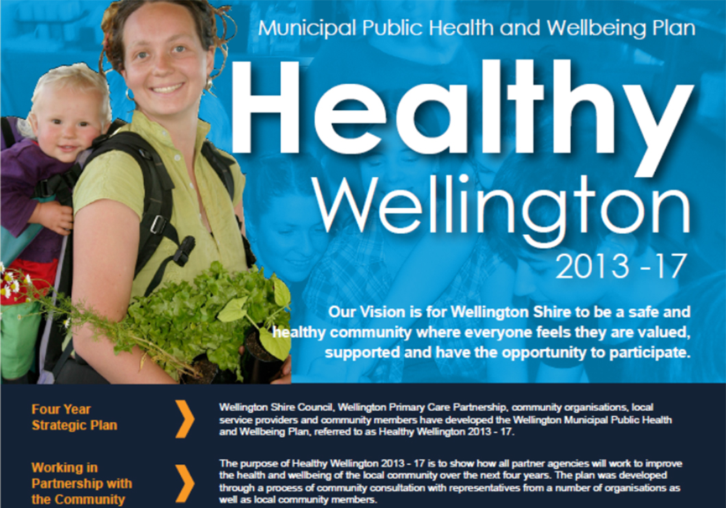 One plan, one report for Healthy Wellington