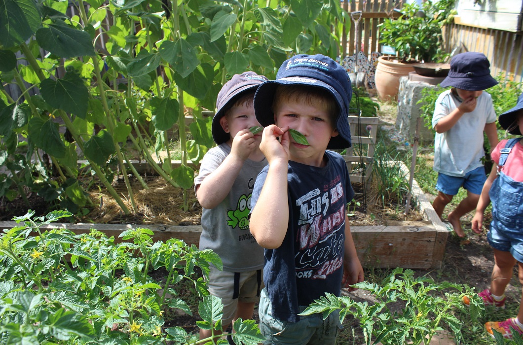 Kids get into the garden as part of providing a healthy learning environment