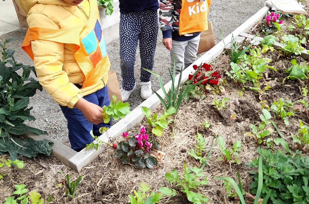 Cranbourne Carlise OSHClub offers tasty, diverse foods as part of Vic Kids Eat Well