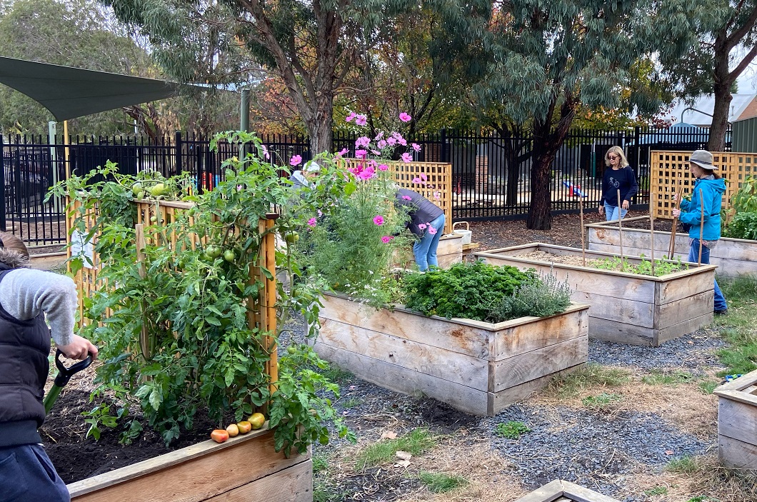 Growing Participation in Community Gardening 