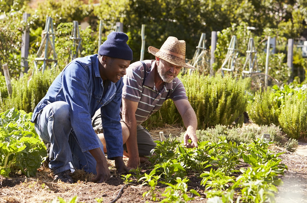 Tackling climate change and its impacts on health in local government